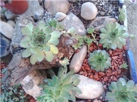 ba4235cf-2014-06-22 18.46.29.jpg